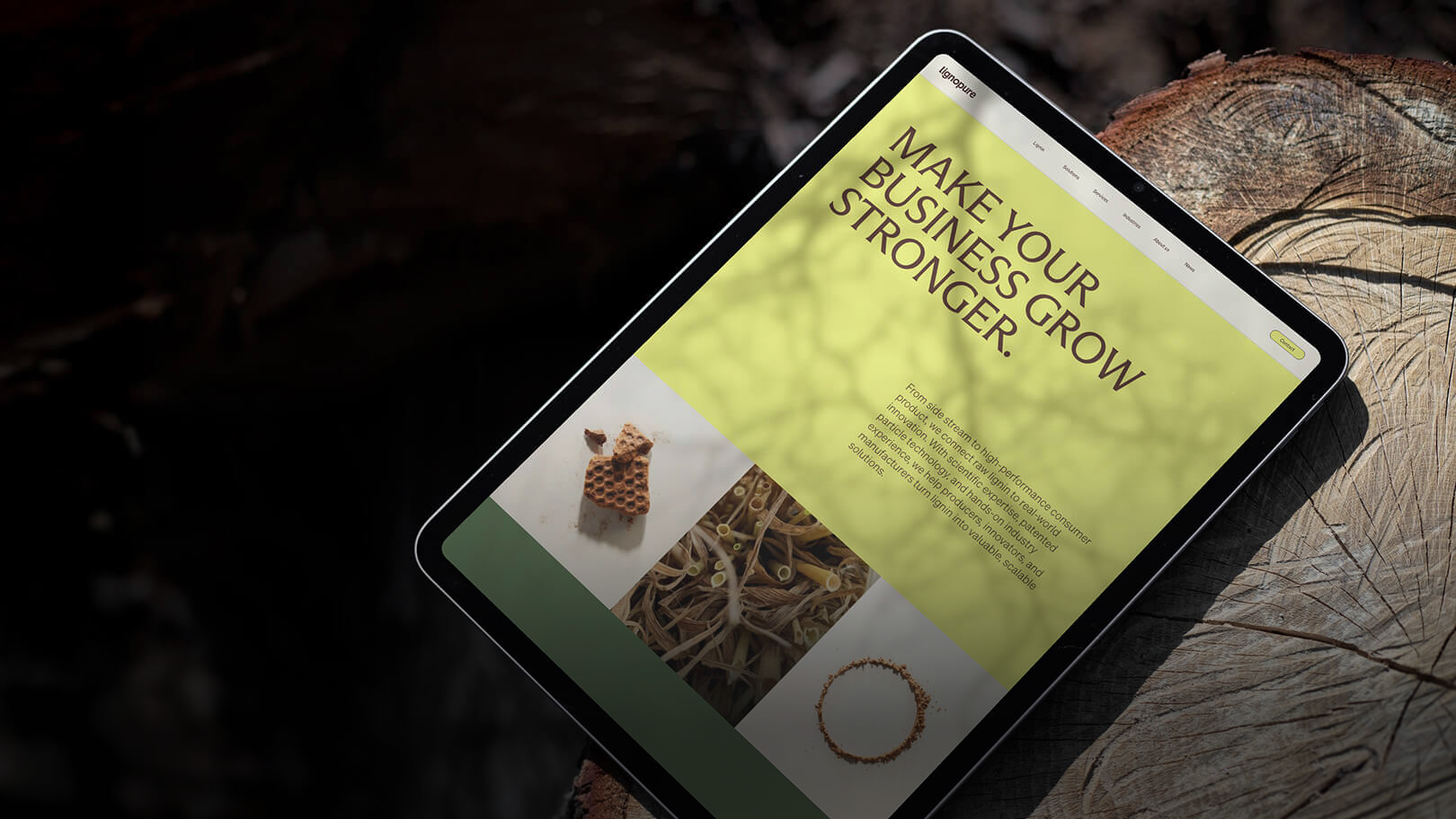 Lignopure – scaling up a brand of tomorrow